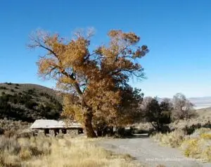 A picture of Humbolt Nevada