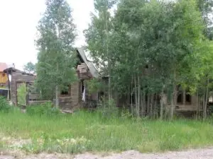A picture of Rico Colorado