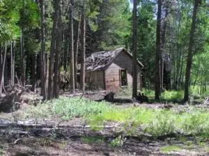 A picture of Phoenix Colorado