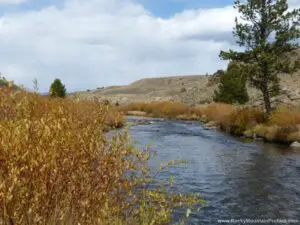 A picture of Jane Kirkhman - Leadville