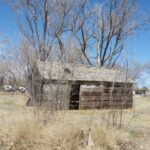 Laird CO 3-29-21 (12) (Small)