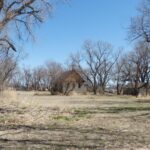 Laird CO 3-29-21 (26) (Small)