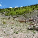 Lily Mine Colorado 6-2020 (3) (Small)