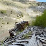 Lily Mine Colorado 6-2020 (8) (Small)