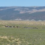 Two Bar Ranch Colorado 8-14-2020 (1) (Small)