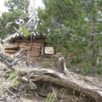 Calamity Camp Colorado (31) (Small)